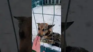 Друзья делайте добро каждый день , это то ,ведь это так легко :) 