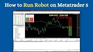 How to Run Robot on Metatrader 5