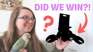 Northern Parrots Competition and Unboxing | BirdNerdSophie AD