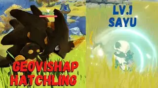 What Happens When Sayu Rolls into a Geovishap Hatchling?