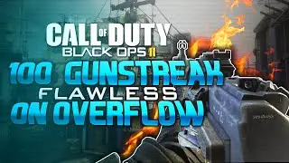 BO2: FLAWLESS 
