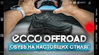 ECCO OFFROAD обзор новых стильные кроссовок на зиму/наше любимое эко/ 