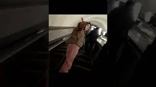 Задержание краснодарских цыган. утверждает что она чеченка, клянётся Аллахом