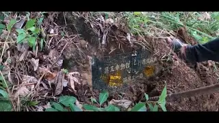 Yamashita treasure gold bars Deposits found