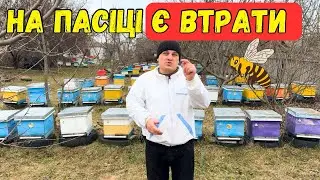 Пасіка є втрати, і треба кормити 🐝
