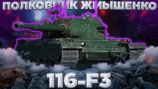 116-F3 - СНИМАЕТ ШКУРУ | Tanks Blitz