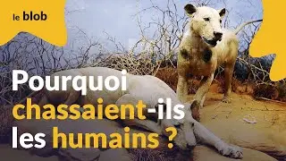 Lions mangeurs d’hommes du Tsavo : l’ADN nous éclaire sur leur histoire | Actu de science