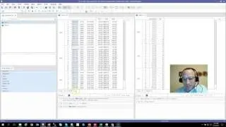 Learn Quantrix Modeler: Descriptors Do Not Slice Categories Enhancement Request 177