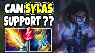 Challenger support tests out how strong SYLAS SUPPORT is - 14.16 League of Legends