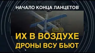 Начало конца ZALA Ланцет: Дроны ВСУ бьют их в воздухе