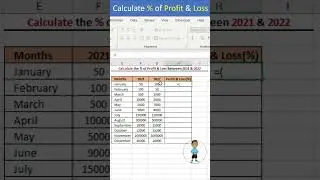 Excel Job Interview Questions Calculate Percentage (%) of Profit & Loss in Excel 