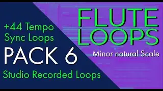 New flute loop Pack 6 + free sample packs + flute loop kits | free flute sample kit  