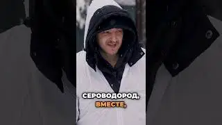 Рома Редман и Даня Крастер снова за работой 