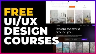 Free UI/UX Design Courses You Can't Afford to miss 