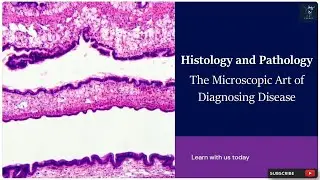 Histology and Pathology | The Microscopic Art of Diagnosing Disease