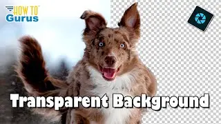 How You Can Remove a Background or Make it Transparent with Photoshop Elements