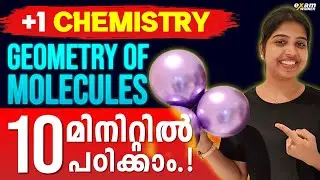 Plus One Chemistry | Chemical Bonding and molecular Structure | Geometry of Molecules | Exam Winner