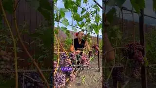 Я Юля, ired.cap и Дачная жизнь меня затянула😍