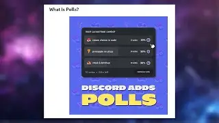 Discord polls are rolling out now :O