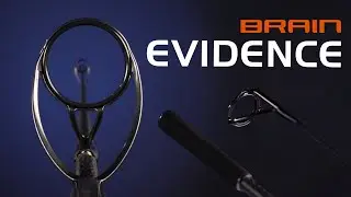 Обзор удилища для карповой рыбалки Brain Evidence. Новинка 2022