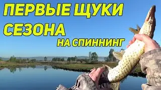 ПЕРВЫЕ ЩУКИ СЕЗОНА НА СПИННИНГ. 2 КИЛОМЕТРА ОТ ГОРОДА