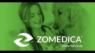 ZOM Stock: Why Pet Care Play Zomedica Is on the Move!!!