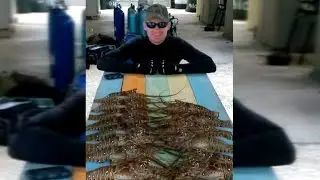 How a Scuba Diver Survived Being Sucked Into Nuclear Power Plant Pipe
