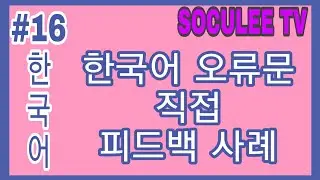 16 한국어 오류문 피드백 과정 대공개! 어떤 방법으로 어떻게 어디까지 고쳐주면 될까요?