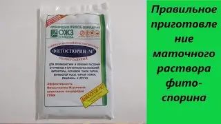 Правильное приготовление маточного раствора фитоспорина