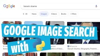 Do a google image search with python!