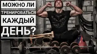 Можно Ли Тренироваться Каждый День ?