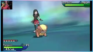 3DS Ultra Wormhole Shiny Hunting