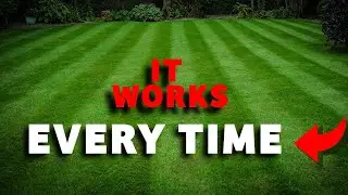 The secret to a green lawn all year round *BONUS* it's really easy and cheap to do!