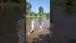 Дерзкая драка Петухов ! Драка  #рекомендации #спорт #прикол #популярное  #тренды #юмор #shortvideo