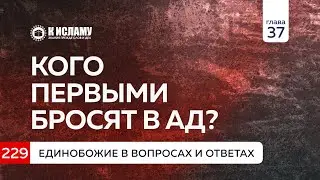 Глава 37. Вопрос 229. Кого первыми бросят в Ад? Единобожие в вопросах и ответах