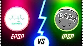 EPSP vs IPSP