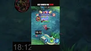 ZILONG COUNTER ITEM 