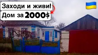 🇺🇦 Заходи и живи! Дом в селе за 2000$ Продажа недвижимости за копейки! Всё есть Уютное тихое село!