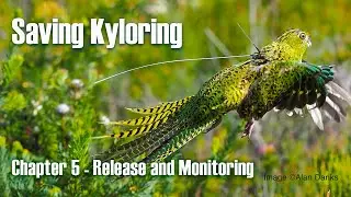 Saving Kyloring Chapter 5 - Release and Monitoring