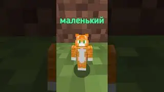 Майнкрафт, НО я ЧУПАПИМУНЯНЯ | WICSUR (мод в🛑 ДС)