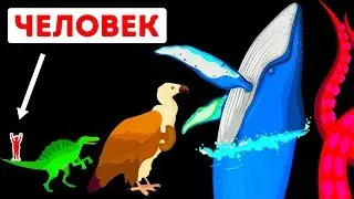 Самое крупное в мире существо – кто оно?