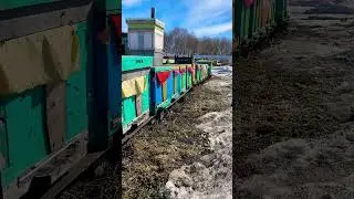 2023 сезон открыт 