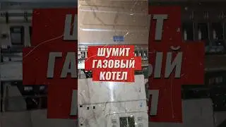 Шумит газовый котел, что делать? 