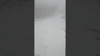 Снег. Показалось.Смотреть до конца