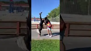 Сколько было попыток?😸 
