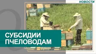 Пчеловоды просят государство пересмотреть правила субсидирования. Новости Qazaq TV