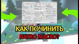 ВСЕ НОВЫЕ СПОСОБЫ ИСПРАВЛЕНИЯ ОШИБОК В Natro Macro - Bee Swarm Simulator