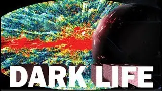 Dark Life: First Life in the Universe?