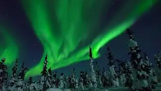 Winter Wonder 2022 - Short 4K Film & Holiday Greetings from Nature Relaxation™