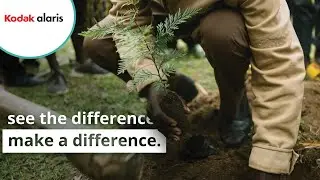 See the Difference, Make a Difference | Kodak Alaris & veritree's Agroforestry Initiatives